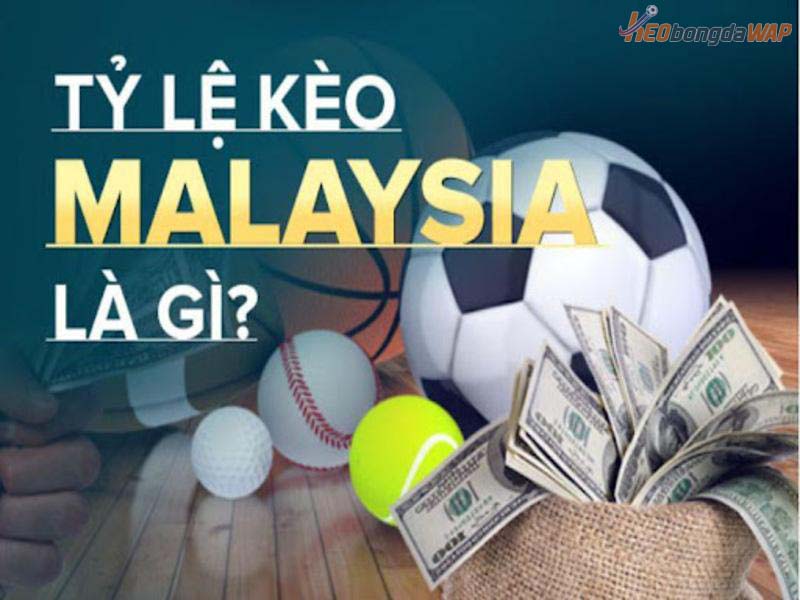Tỷ lệ kèo Malaysia là chỉ số quan trọng trong cá độ bóng đá