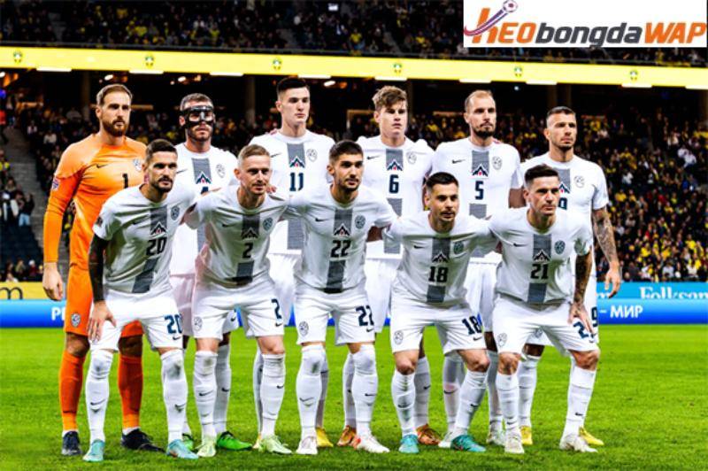 Đội tuyển Slovenia tham dự Euro 2024 sau 24 năm