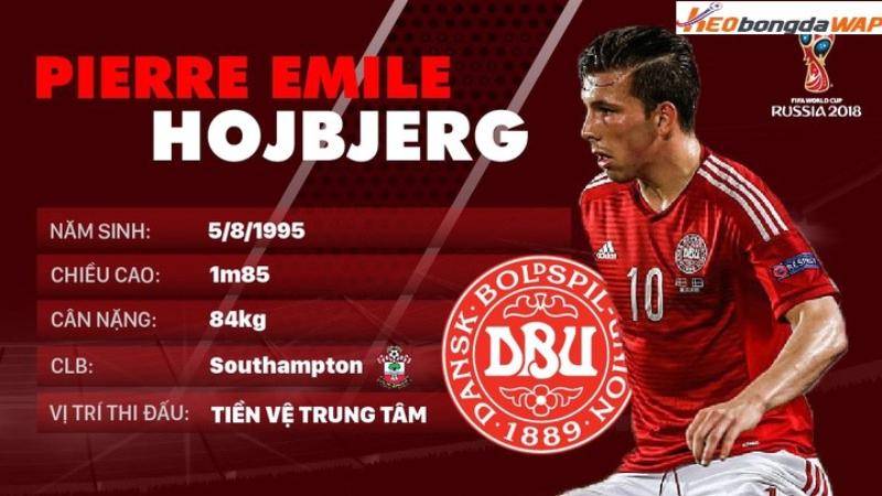  Pierre-Emile Hojbjerg - Tiền vệ xuất sắc của Đan Mạch